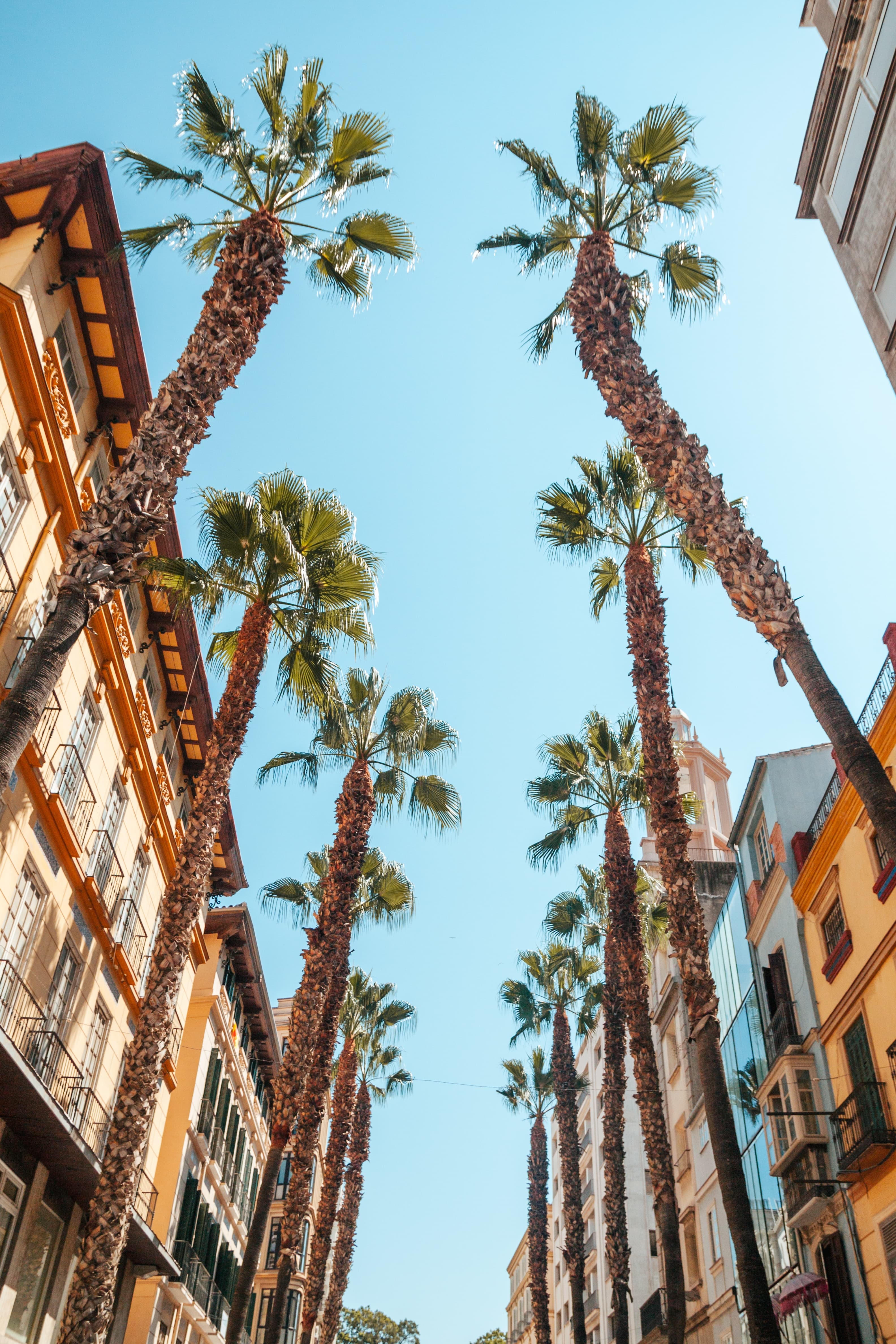 Los mejores barrios de Palma de Mallorca para comprar apartamento