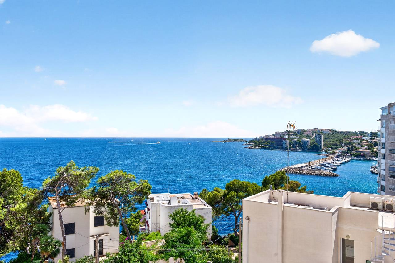 Quiet Mediterranean bay viewed from a Cala Major apartment